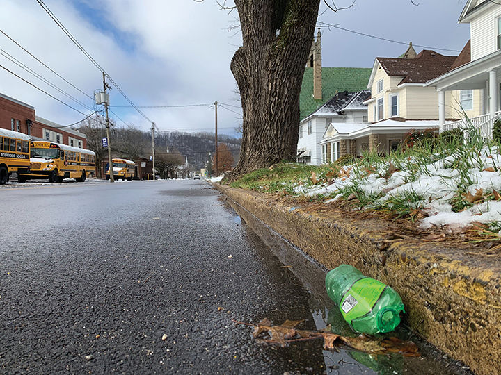 1-8 Litter.jpg